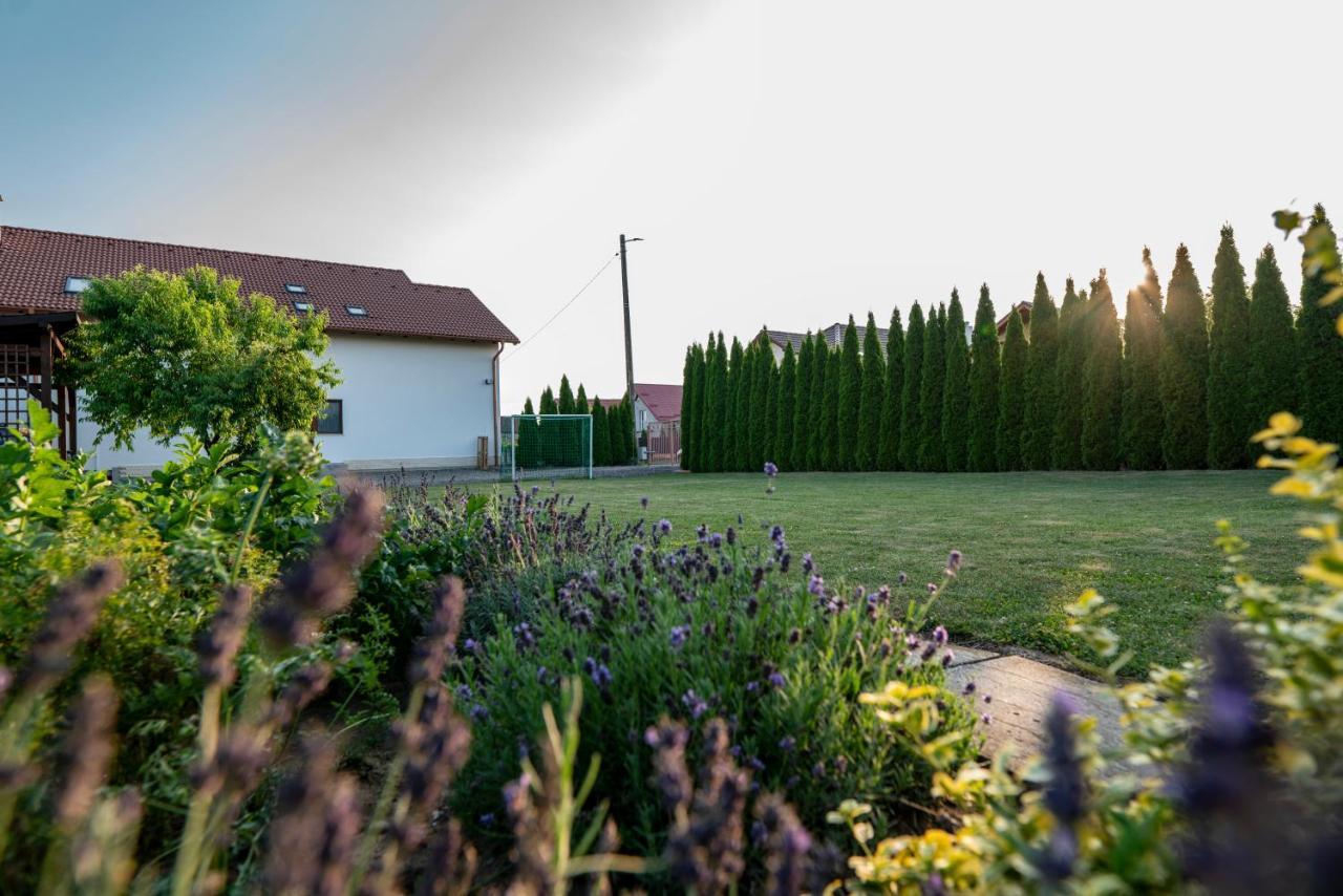 Pensiunea Gassi Sancraiu de Mures Exteriör bild